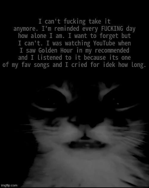 (one of my announcements for today) (4) | I can't fucking take it anymore. I'm reminded every FUCKING day how alone I am. I want to forget but I can't. I was watching YouTube when I saw Golden Hour in my recommended and I listened to it because its one of my fav songs and I cried for idek how long. | image tagged in orange cat uncanny stare | made w/ Imgflip meme maker
