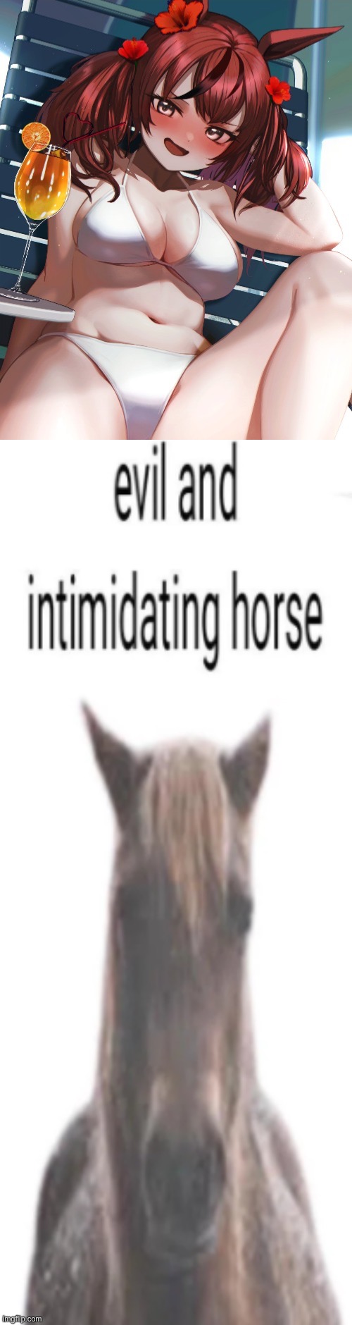 image tagged in evil and intimidating horse | made w/ Imgflip meme maker