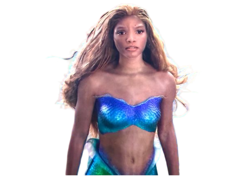 ugly ariel Blank Meme Template