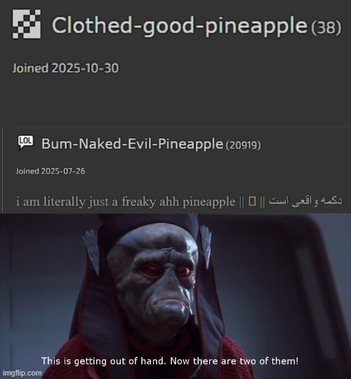 two pineapples?? | image tagged in two of them | made w/ Imgflip meme maker