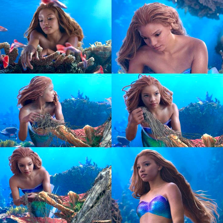 black ariel pics Blank Meme Template