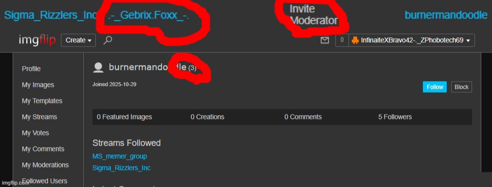 @Gebrix, care to explain inviting someone who has no activity at all? | image tagged in mods | made w/ Imgflip meme maker
