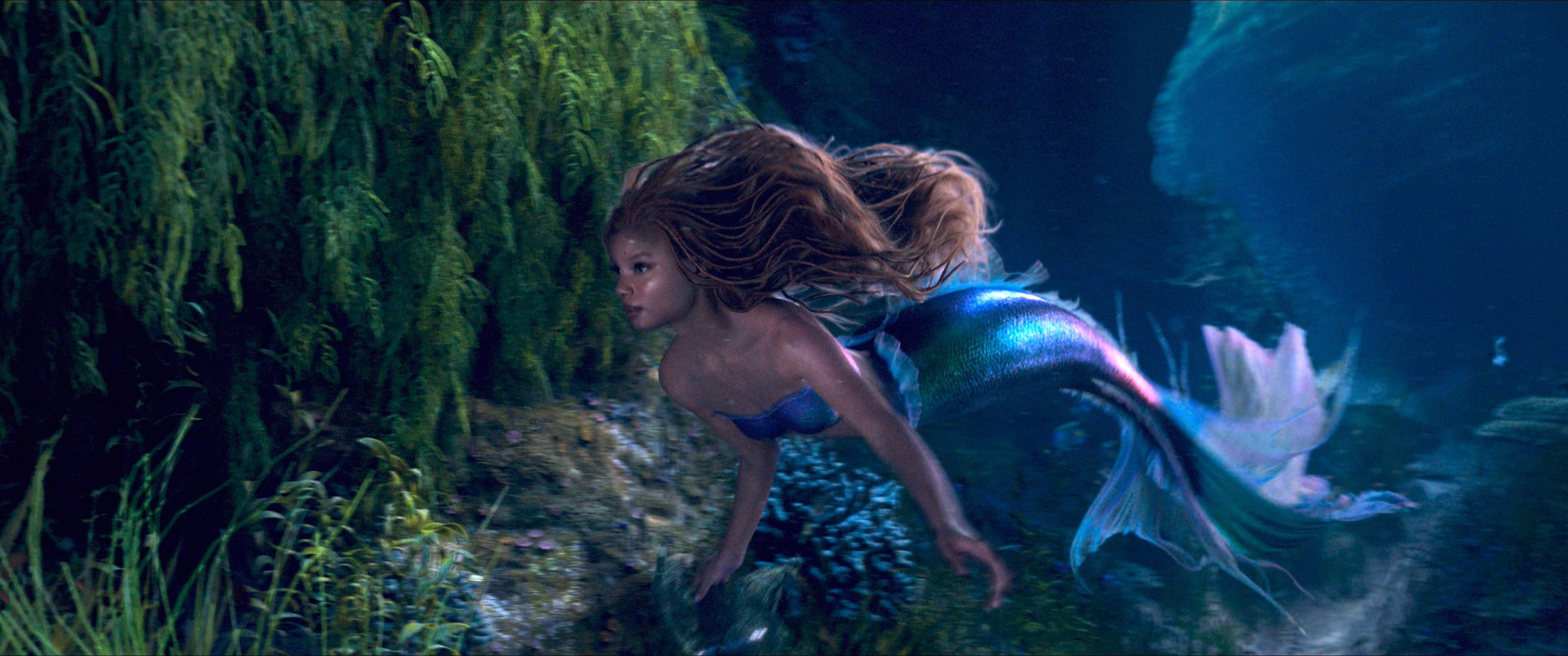 halle ariel Blank Meme Template