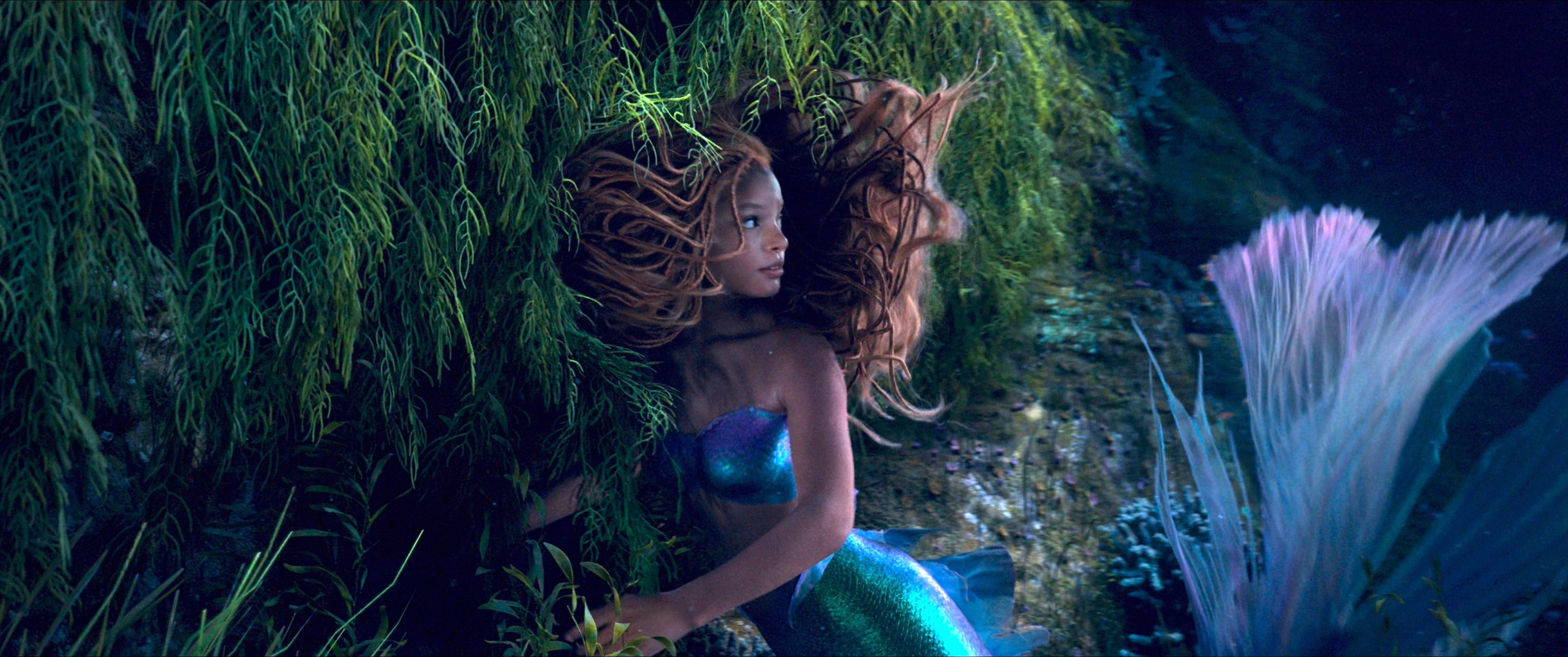 black ariel Blank Meme Template