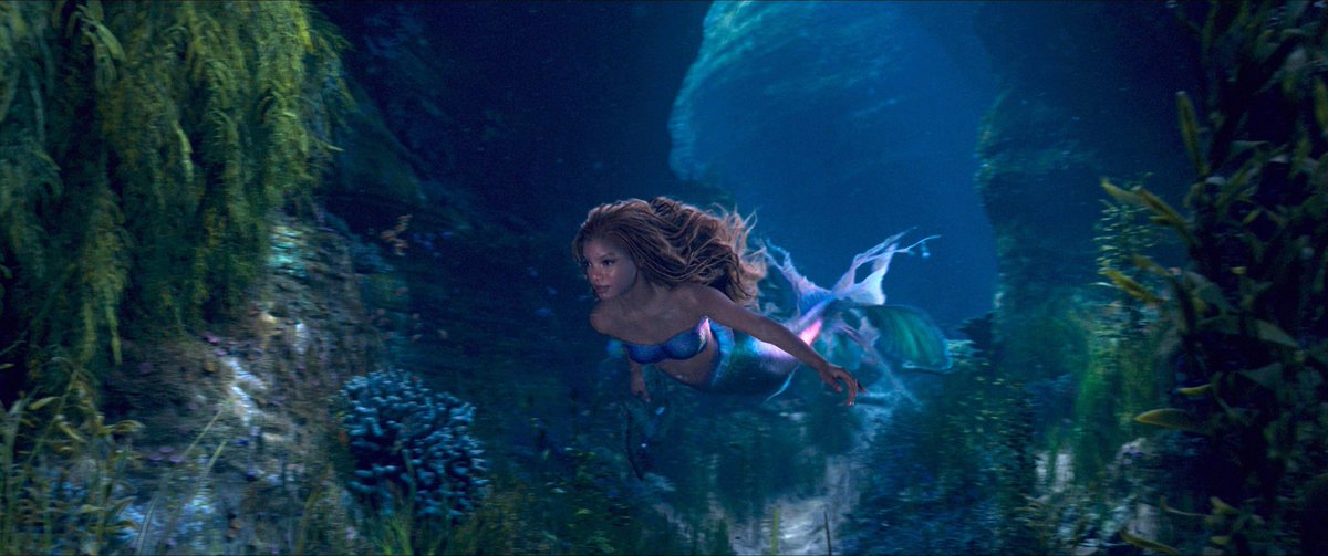 halle mermaid swimming Blank Meme Template