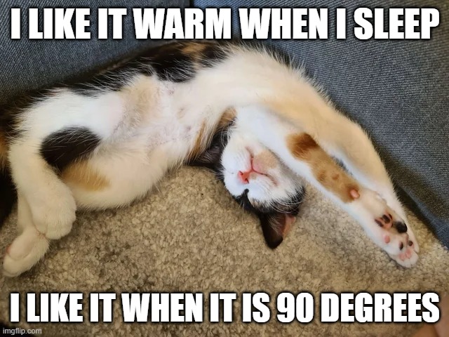 This cat says he likes to sleep when it's 90 degrees.   --  funny  -- | I LIKE IT WARM WHEN I SLEEP; I LIKE IT WHEN IT IS 90 DEGREES | image tagged in cat,funny,kittens,humor,play on words,sleep | made w/ Imgflip meme maker