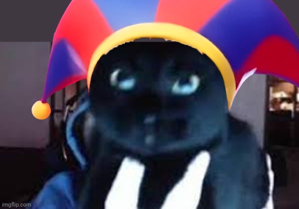 Caseoh Kitty | image tagged in caseoh kitty | made w/ Imgflip meme maker