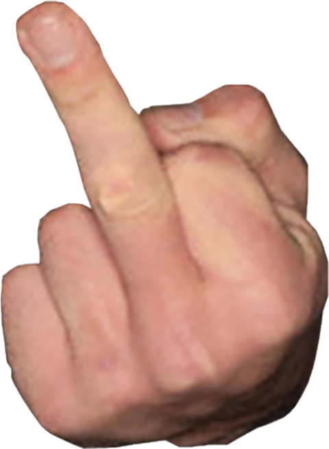 middle finger left hand Blank Meme Template