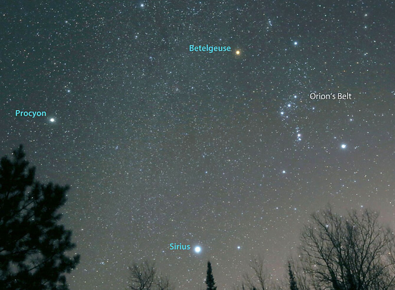 Orion (Creator) and Sirius (Son of God) Blank Meme Template