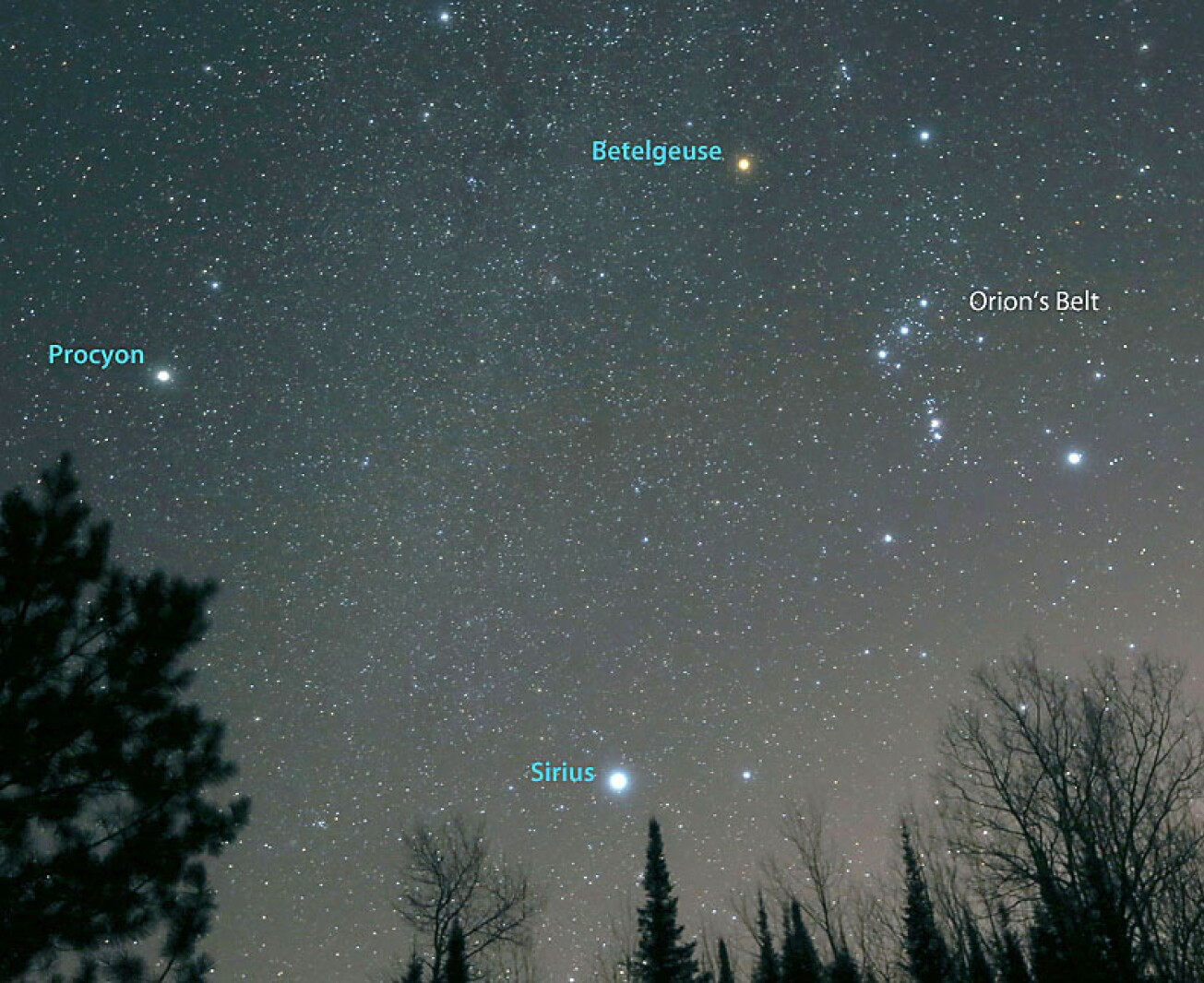 Orion (Creator) and Sirius (Son of God) Blank Meme Template