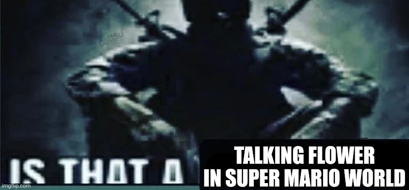 IS THAT A | TALKING FLOWER IN SUPER MARIO WORLD | image tagged in is that a | made w/ Imgflip meme maker