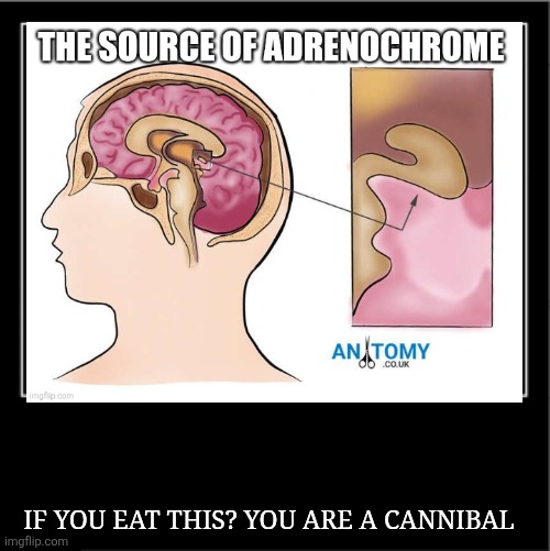 Satanic Cannibals Run This World | IF YOU EAT THIS? YOU ARE A CANNIBAL | image tagged in demotivational poster,satanic,cannibals | made w/ Imgflip meme maker