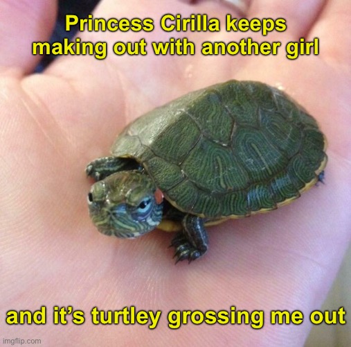 Princess Cirilla keeps making out with another girl and it’s turtley grossing me out | made w/ Imgflip meme maker