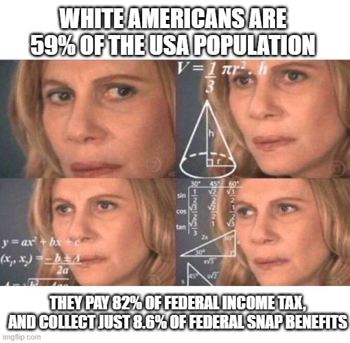 White Americans | WHITE AMERICANS ARE 59% OF THE USA POPULATION; THEY PAY 82% OF FEDERAL INCOME TAX, AND COLLECT JUST 8.6% OF FEDERAL SNAP BENEFITS | image tagged in math lady/confused lady | made w/ Imgflip meme maker
