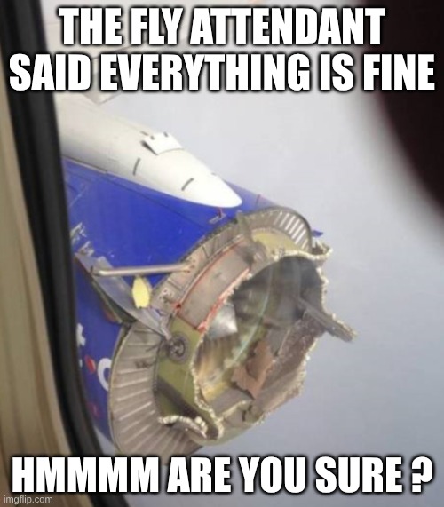 Are You Sure About That ?? | THE FLY ATTENDANT SAID EVERYTHING IS FINE; HMMMM ARE YOU SURE ? | image tagged in lol so funny,you had one job just the one | made w/ Imgflip meme maker