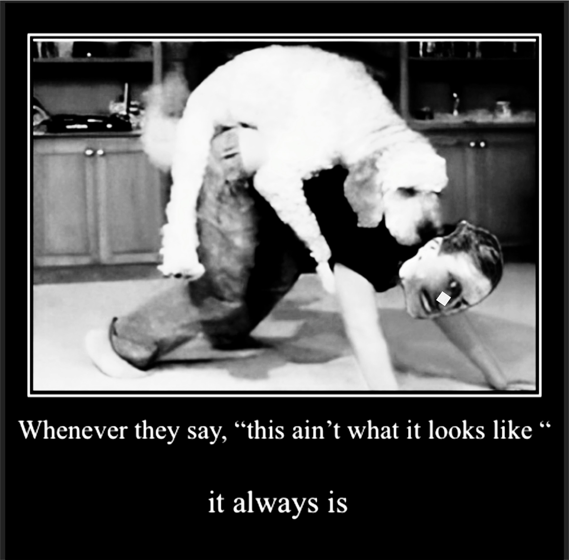 Dog Bone Blank Meme Template