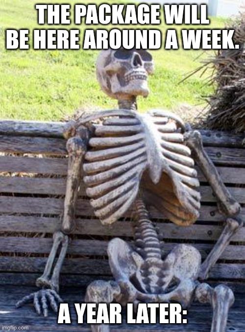 Waiting Skeleton Meme | THE PACKAGE WILL BE HERE AROUND A WEEK. A YEAR LATER: | image tagged in memes,waiting skeleton | made w/ Imgflip meme maker