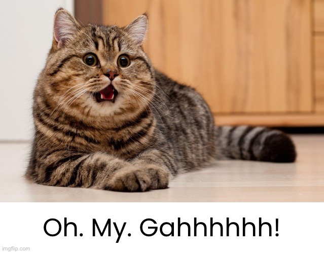 Oh. My. Gahhhhhh! | made w/ Imgflip meme maker