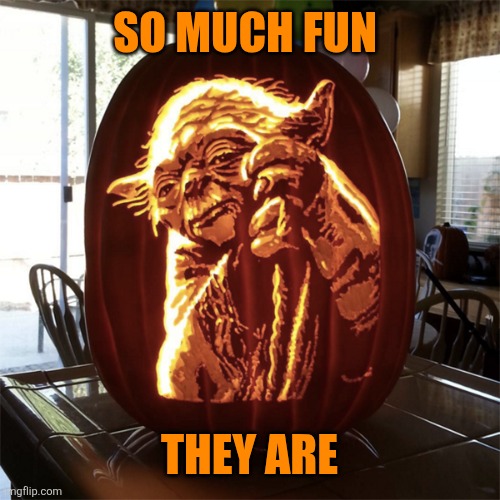 SO MUCH FUN THEY ARE | made w/ Imgflip meme maker