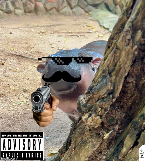 The dmn cool hippo | image tagged in moo deng peek | made w/ Imgflip meme maker