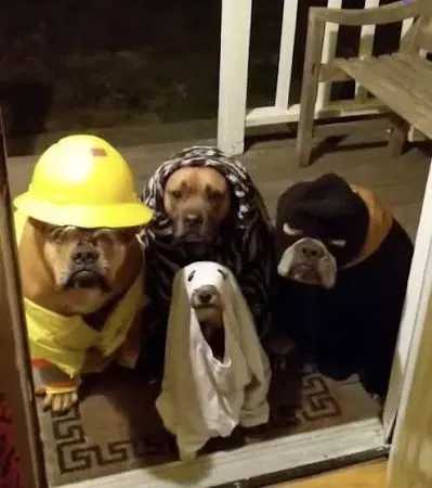 Happy All Spooks Day Blank Meme Template