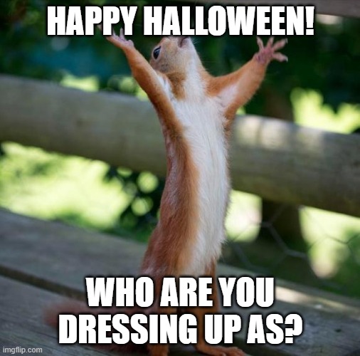 finally | HAPPY HALLOWEEN! WHO ARE YOU DRESSING UP AS? | image tagged in finally | made w/ Imgflip meme maker