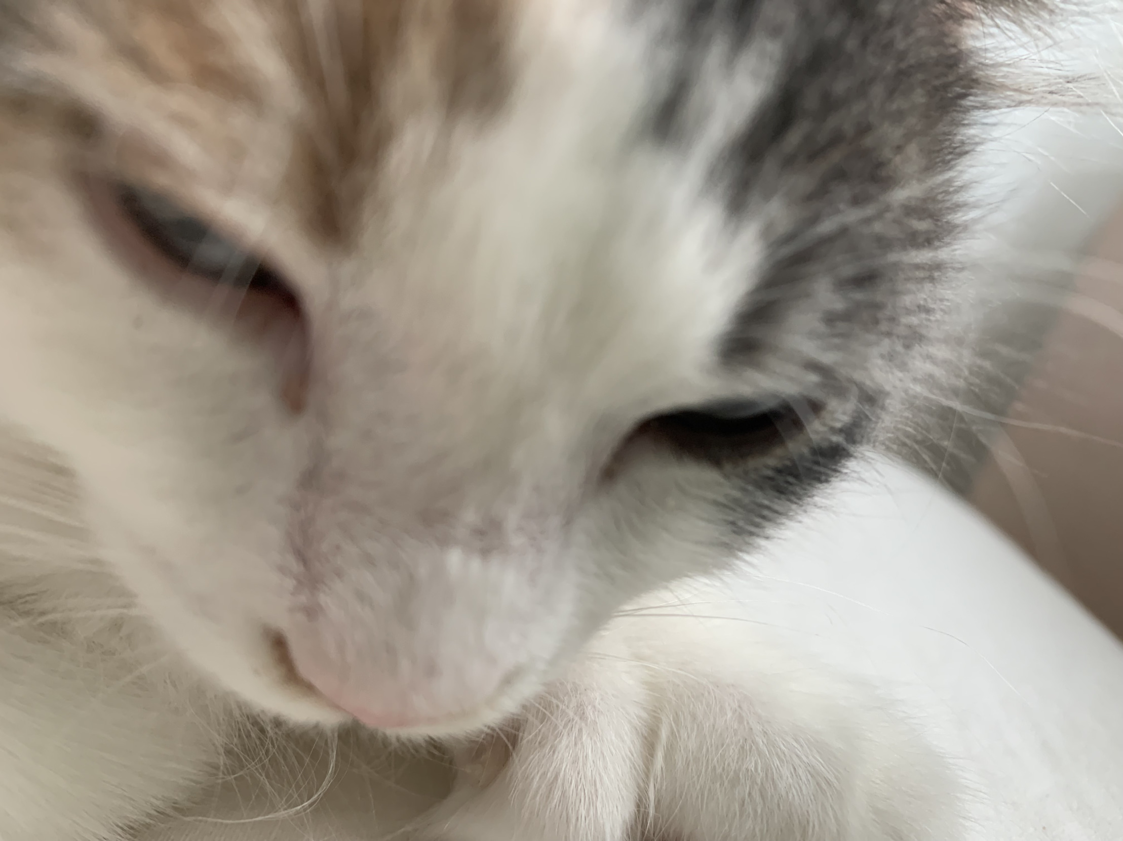 It’s too early Blank Meme Template