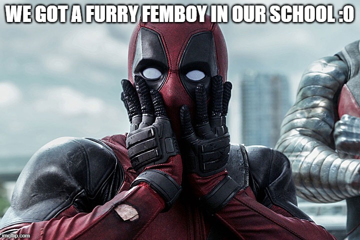 ABSOLUTE W | WE GOT A FURRY FEMBOY IN OUR SCHOOL :0 | image tagged in deadpool - gasp | made w/ Imgflip meme maker