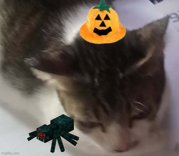 It will be happy hallos tomorrow | image tagged in ming mong | made w/ Imgflip meme maker