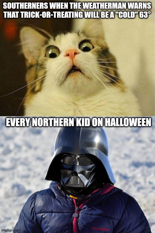 Northern vs Southern Halloween | SOUTHERNERS WHEN THE WEATHERMAN WARNS THAT TRICK-OR-TREATING WILL BE A "COLD" 63°; EVERY NORTHERN KID ON HALLOWEEN | image tagged in memes,scared cat,southern,halloween,halloween costume,cold weather | made w/ Imgflip meme maker