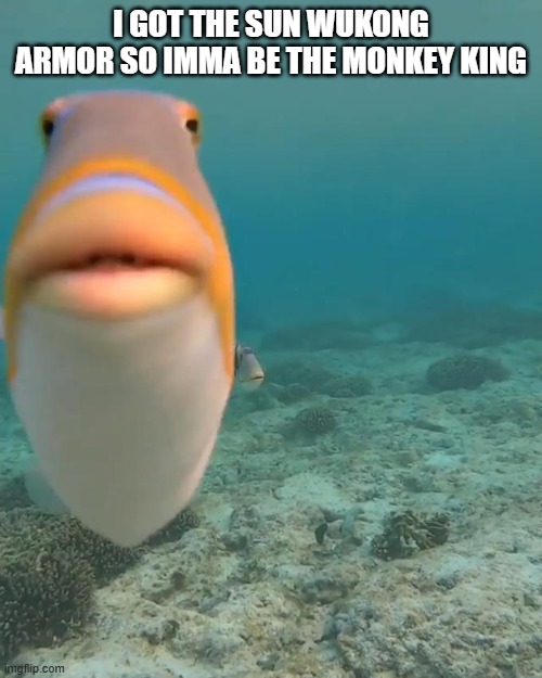 Black myth wukong is a w game | I GOT THE SUN WUKONG ARMOR SO IMMA BE THE MONKEY KING | image tagged in staring fish | made w/ Imgflip meme maker