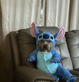 Calm down Blank Meme Template