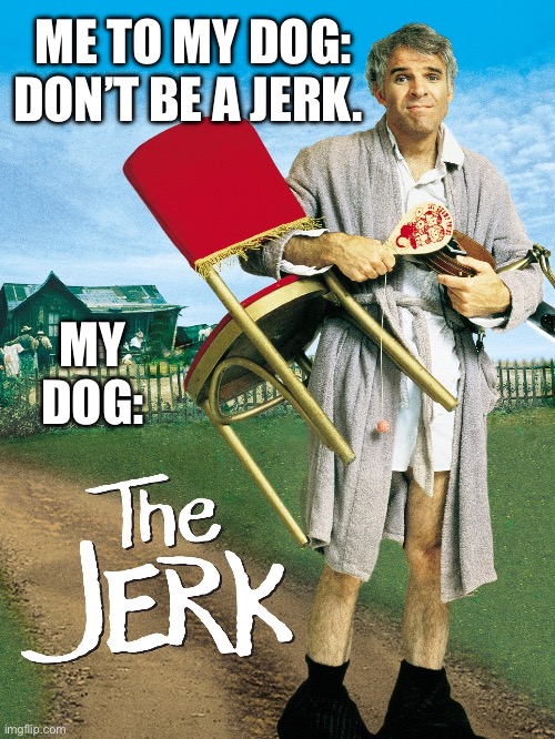My dogs a jerk | ME TO MY DOG: DON’T BE A JERK. MY DOG: | image tagged in the jerk | made w/ Imgflip meme maker