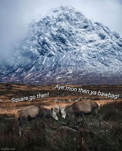 At any given point somewhere out in the Scottish highlands, two deer are fighting for whatever reason. | Aye mon then ya bawbag! Square go then! | image tagged in memes,scotland,oh deer,square go,highlands | made w/ Imgflip meme maker