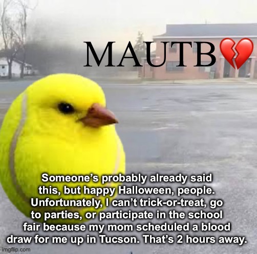 Mods Asleep, Upvote Tennis Bird | Someone’s probably already said this, but happy Halloween, people. Unfortunately, I can’t trick-or-treat, go to parties, or participate in the school fair because my mom scheduled a blood draw for me up in Tucson. That’s 2 hours away. | image tagged in mods asleep upvote tennis bird | made w/ Imgflip meme maker