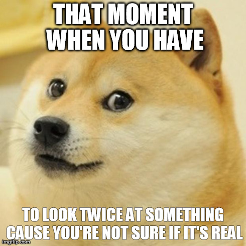 Doge | THAT MOMENT WHEN YOU HAVE TO LOOK TWICE AT SOMETHING CAUSE YOU'RE NOT SURE IF IT'S REAL | image tagged in memes,doge | made w/ Imgflip meme maker
