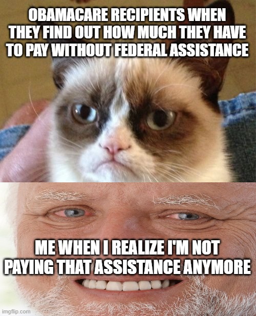 every dark cloud has a silver lining | OBAMACARE RECIPIENTS WHEN THEY FIND OUT HOW MUCH THEY HAVE TO PAY WITHOUT FEDERAL ASSISTANCE; ME WHEN I REALIZE I'M NOT PAYING THAT ASSISTANCE ANYMORE | image tagged in memes,grumpy cat | made w/ Imgflip meme maker