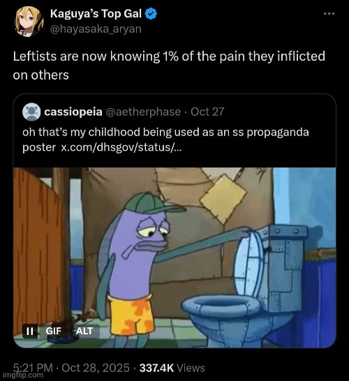 I watched everything I love become Communist propaganda. These idiots have no idea. | image tagged in memes | made w/ Imgflip meme maker