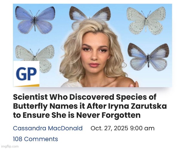 Rest in piece, sweet angel. | image tagged in based | made w/ Imgflip meme maker