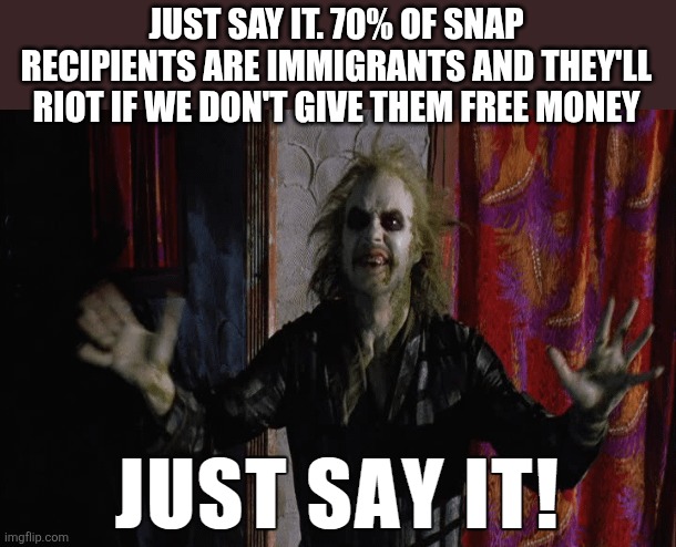 JUST SAY IT. 70% OF SNAP RECIPIENTS ARE IMMIGRANTS AND THEY'LL RIOT IF WE DON'T GIVE THEM FREE MONEY | image tagged in funny memes | made w/ Imgflip meme maker