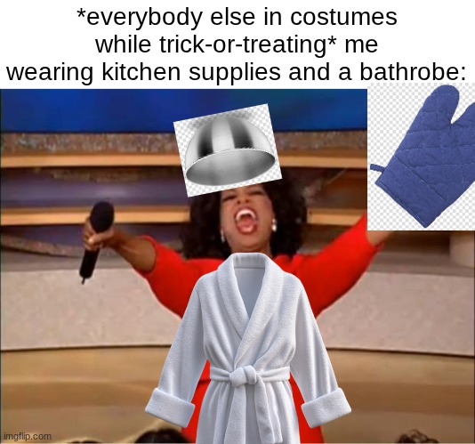 "who needs a costume when you have this?" | *everybody else in costumes while trick-or-treating* me wearing kitchen supplies and a bathrobe: | image tagged in memes,funny,cats,dogs | made w/ Imgflip meme maker