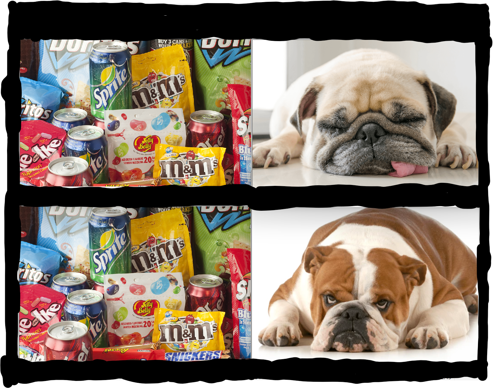 High Quality snap-dog Blank Meme Template