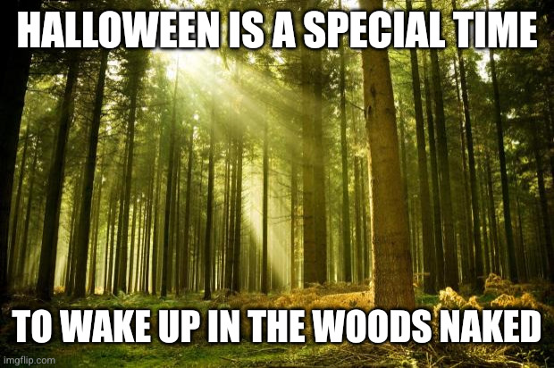 Memory loss can't be all bad, right? | HALLOWEEN IS A SPECIAL TIME; TO WAKE UP IN THE WOODS NAKED | image tagged in sunlit forest,halloween,where am i,is that blood,why am i naked,memes | made w/ Imgflip meme maker