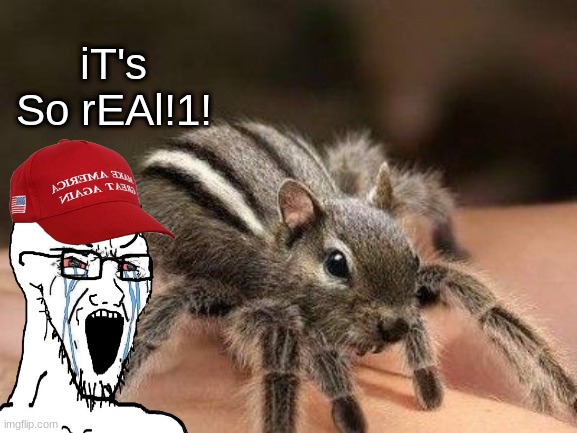 Spidermunk | iT's So rEAl!1! | image tagged in spider,chipmunk | made w/ Imgflip meme maker