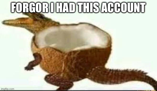Coconut | FORGOR I HAD THIS ACCOUNT | image tagged in coconut | made w/ Imgflip meme maker
