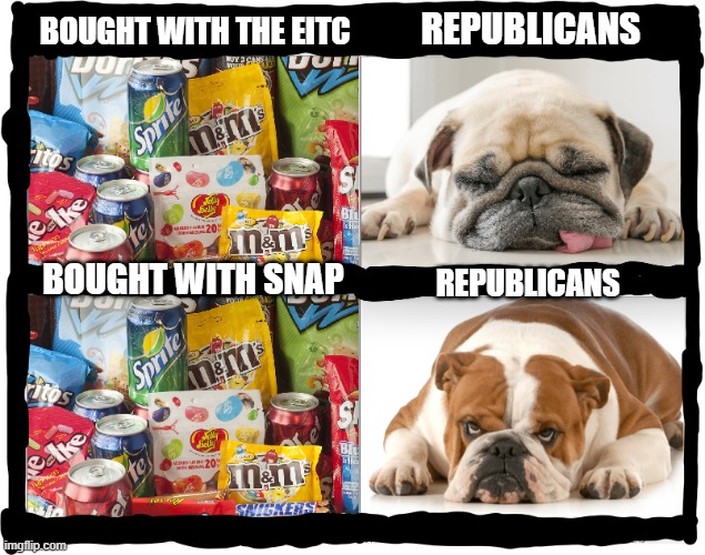 "Good" Welfare Vs "Bad" Welfare | REPUBLICANS; BOUGHT WITH THE EITC; BOUGHT WITH SNAP; REPUBLICANS | image tagged in snap-dog | made w/ Imgflip meme maker