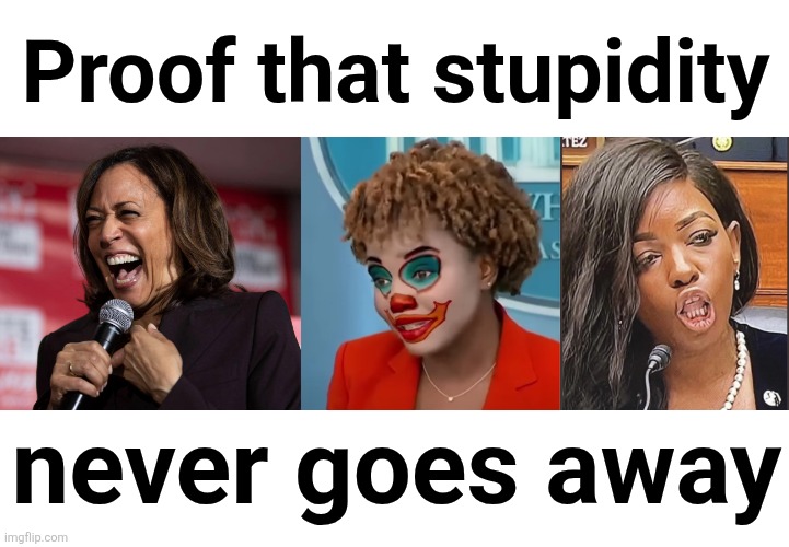 Proof that stupidity; never goes away | image tagged in kamala harris,clown karine,jasmine crockett,stupidity never goes away,democrats,memes | made w/ Imgflip meme maker