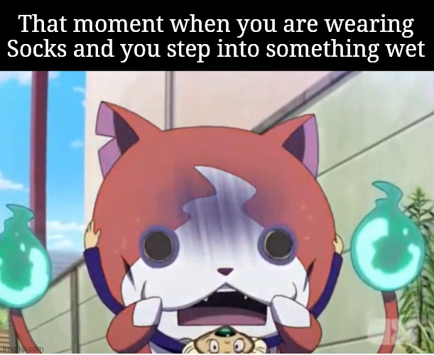 Worst feeling ever. | That moment when you are wearing Socks and you step into something wet | image tagged in socks,wet | made w/ Imgflip meme maker