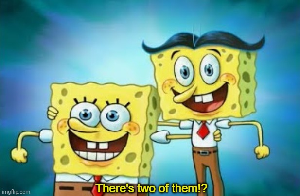 There's two of them!? | image tagged in there's two of them | made w/ Imgflip meme maker