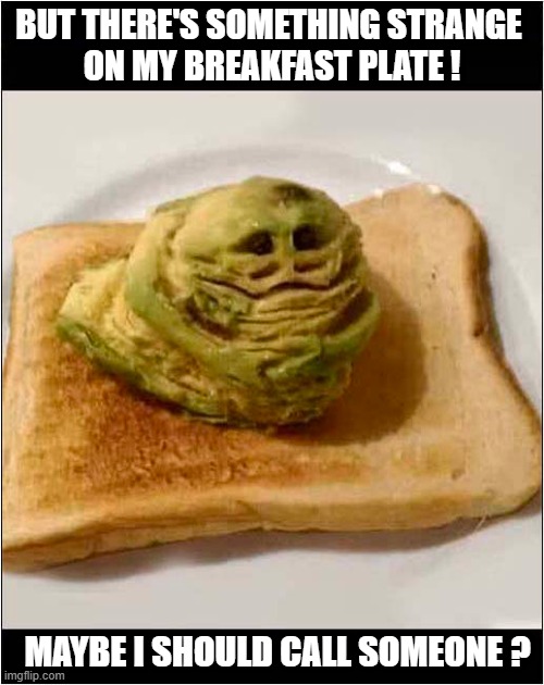 I Ain't Afraid Of No Toast ... | BUT THERE'S SOMETHING STRANGE 
ON MY BREAKFAST PLATE ! MAYBE I SHOULD CALL SOMEONE ? | image tagged in ghostbusters,toast,strange | made w/ Imgflip meme maker